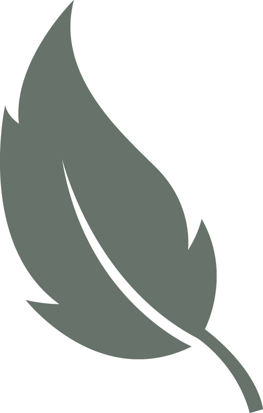 Endeavour Design - WordPress web design - Light Leaf